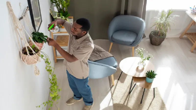 decoradhouse renovation tips from decoratoradvice