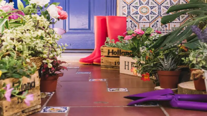 decoradhouse garden tips by decoratoradvice
